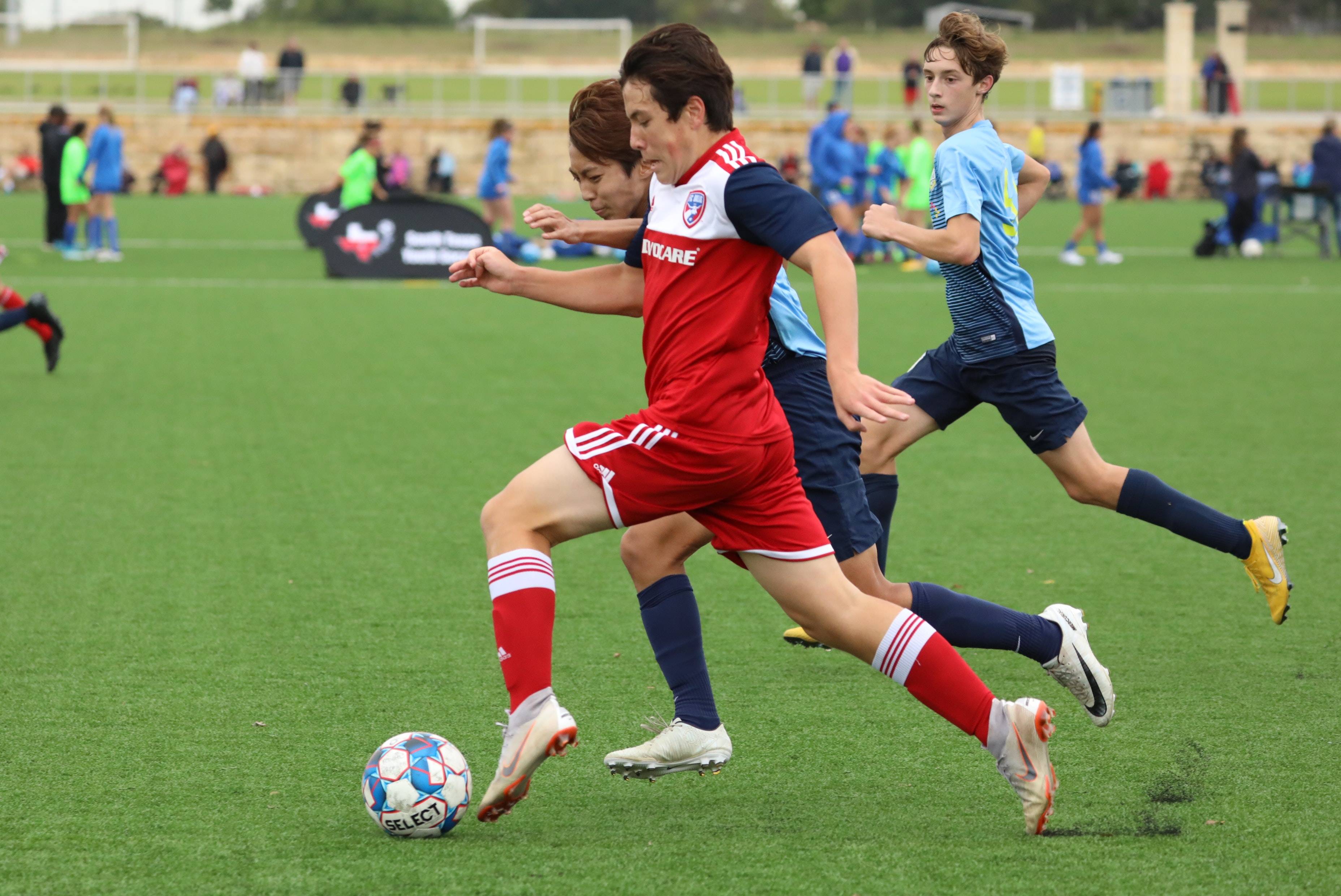 望借助杯赛 望借助杯赛