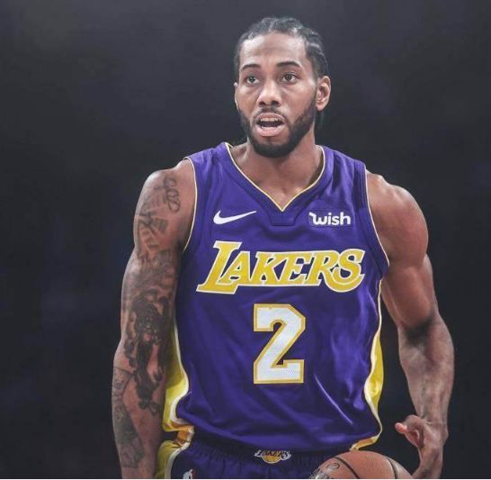 传导路径 传导路径